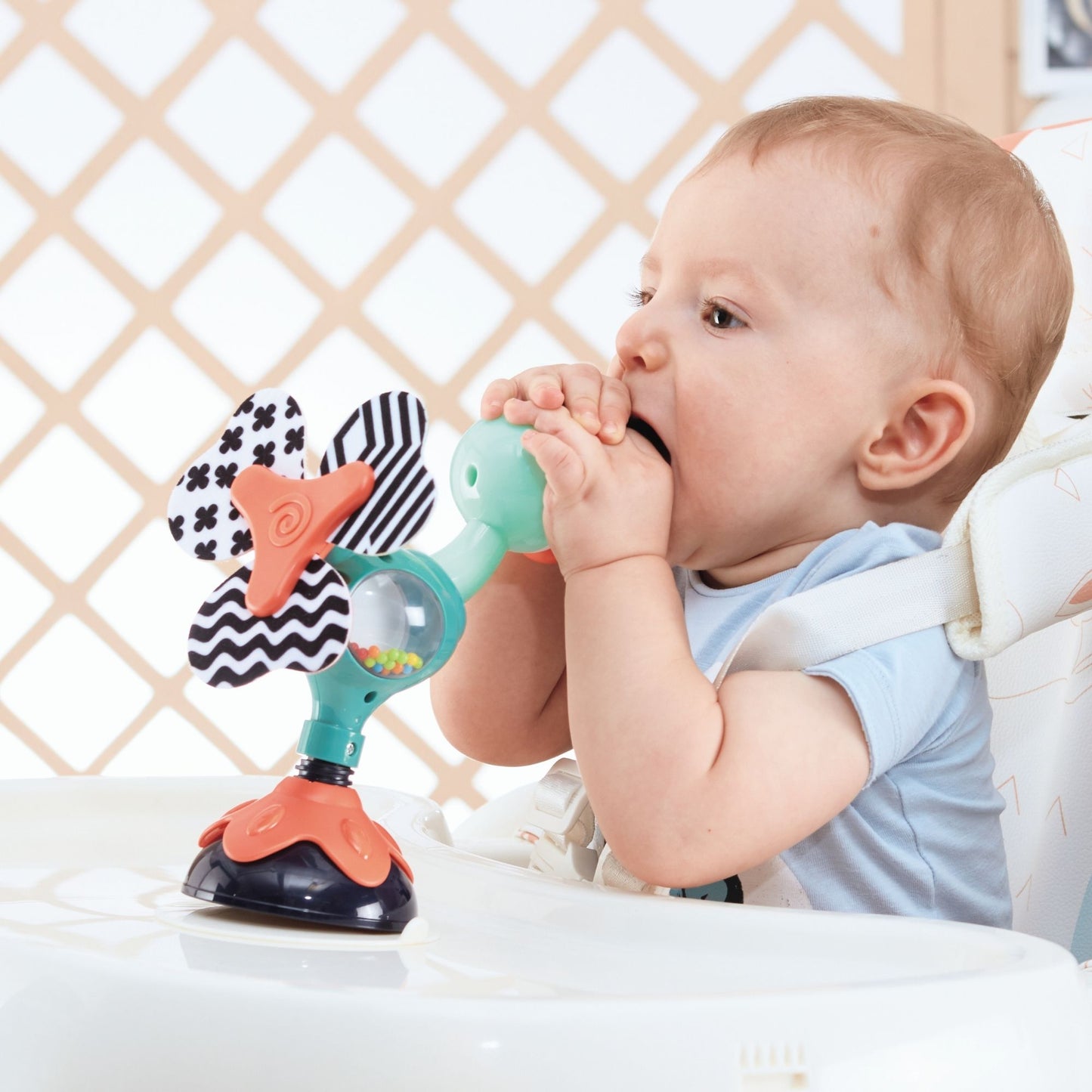 Hola Highchair Toy - Cute Peacock