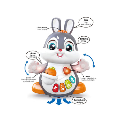 Hola Dancing Bunny
