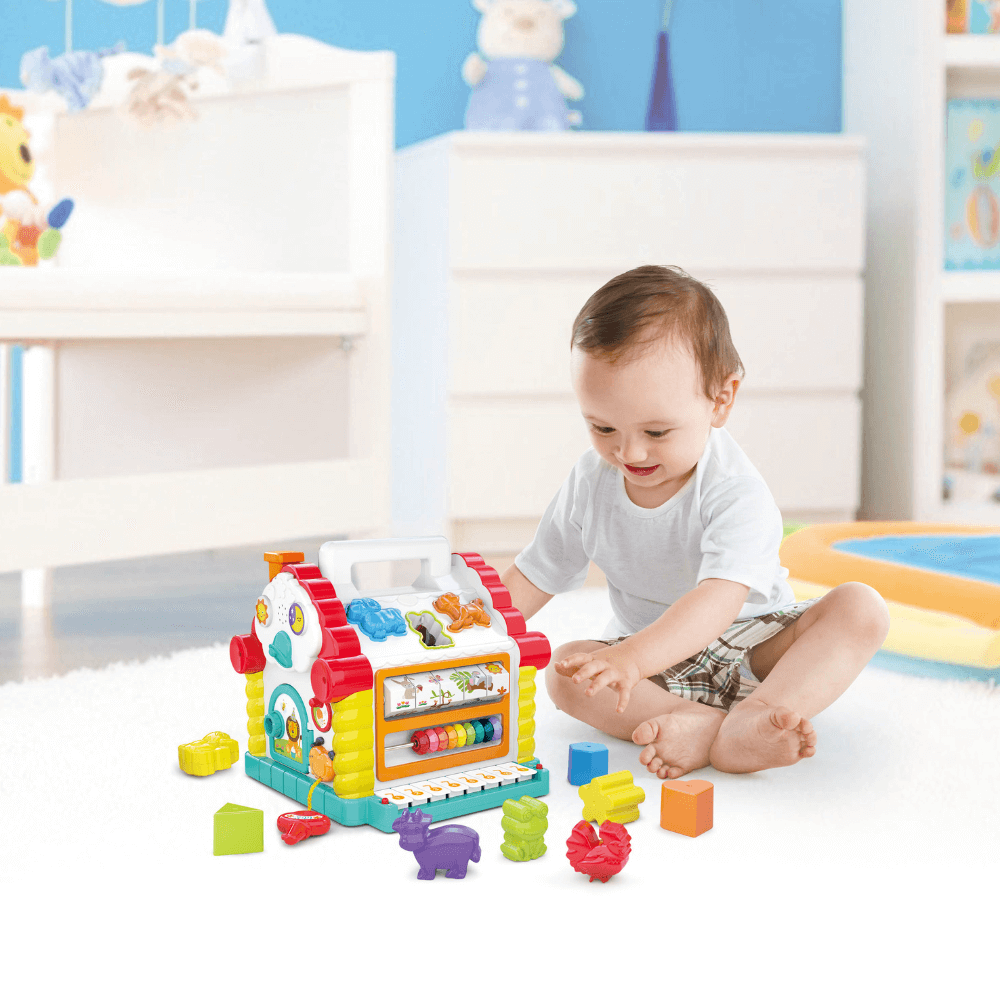 Hola Activity House Shape Sorter