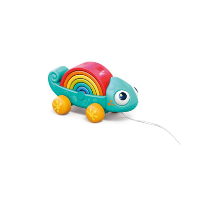 Hola Rainbow Chameleon