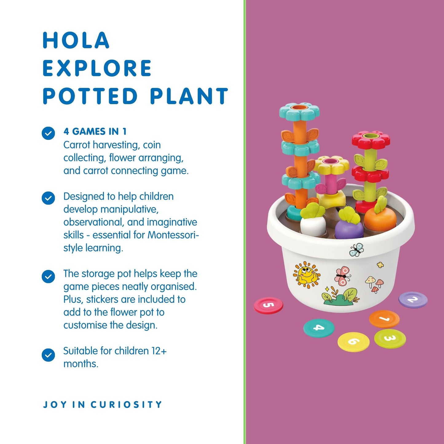 Hola Explore Potted Plant